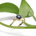 Montana Sapphire Engagement Ring | Era Design Vancouver Canada