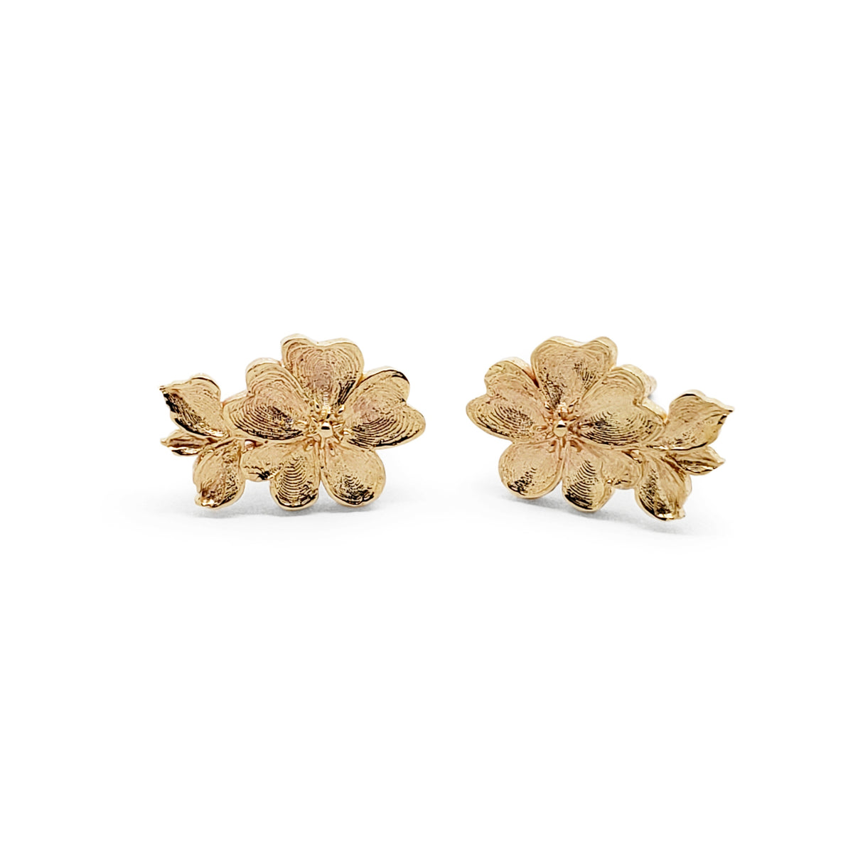 Elita Earrings  Roalista everyday essentials – ROALISTA